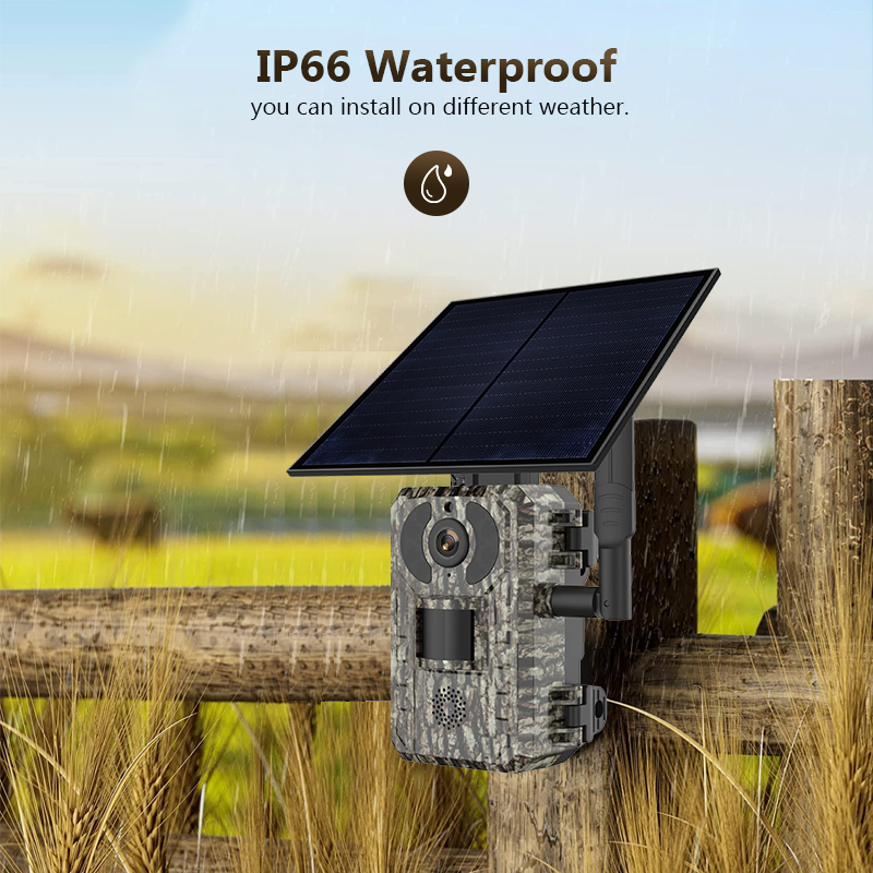 4G 4MP Outdoor Wildlife Huntin - đánh giá và giá Panel Power Outdoor